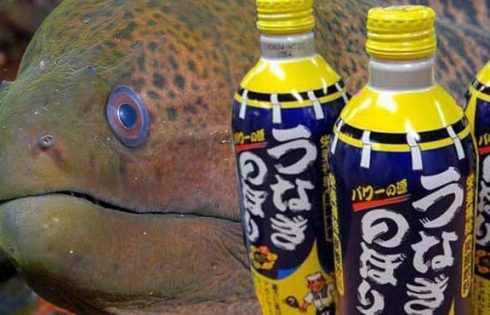 Eel Soda