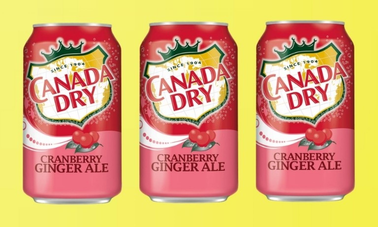 Canada Dry Cranberry Ginger Ale The Foyager